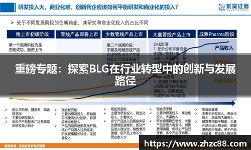 重磅专题：探索BLG在行业转型中的创新与发展路径